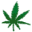 Cannabinatic Screensaver icon