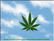 Cannabinatic Screensaver screenshot